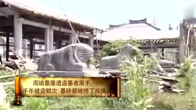 周瑜太惨!生前被气死!死后墓屡遭黑手被盗数次!墓砖都被修战壕!