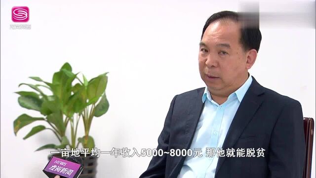 广电《龙岗新闻》杨连成:“从田间到舌尖”实现食品安全可追溯