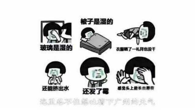 法式甜点——马卡龙