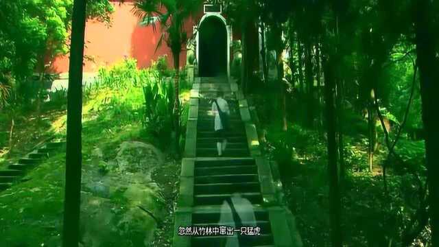 衡山:慧思在这里传道,成为佛教天台宗二祖