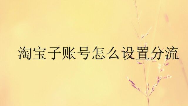 淘宝子账号怎么设置分流?