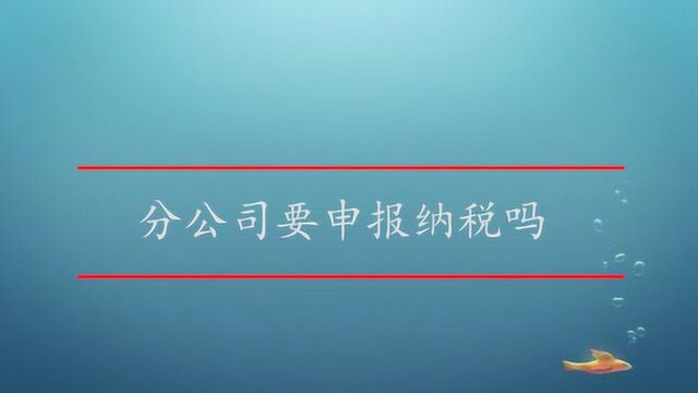 分公司要申报纳税吗