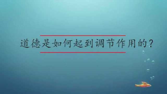 道德是如何起到调节作用的?