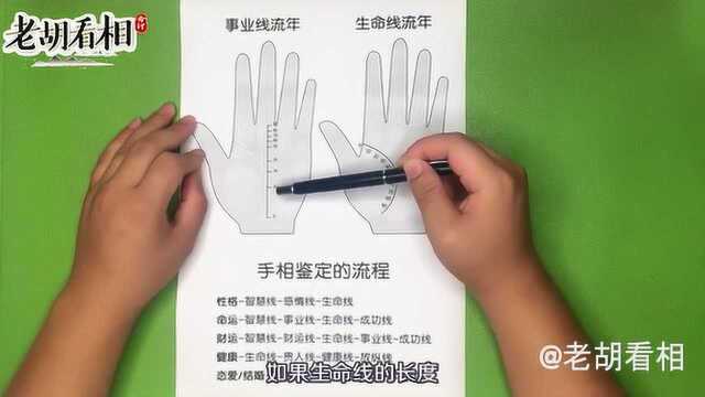 教你如何看手相 手相怎么看?是何顺序,如何断流年?老胡看相