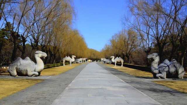 长长的神路没有尽头 守护十三陵南大门 从此开启神秘莫测皇陵群