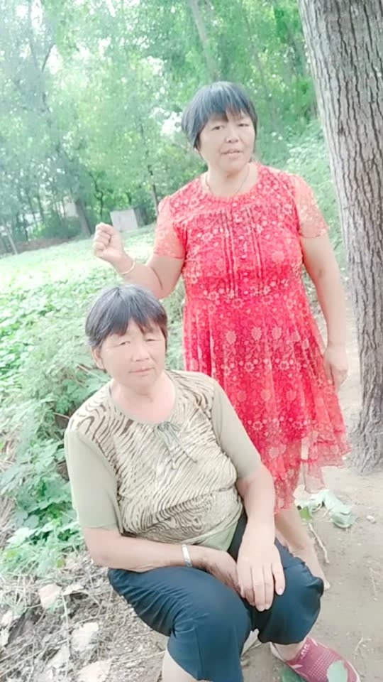 Thumbplayer Poster Plugin Image