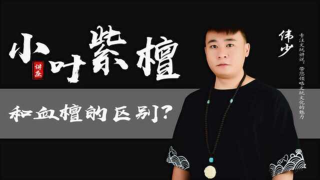 小叶紫檀和血檀区别搞不懂?伟少来支招