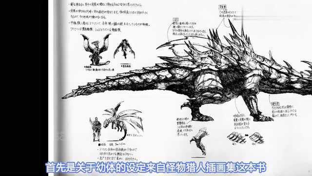 怪物猎人生态 老山龙竟是黑龙的食物 为你揭开老山龙的生态之谜