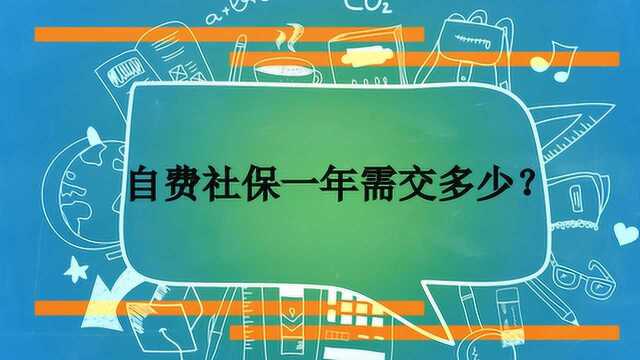 自费社保一年需交多少?