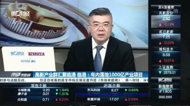 高新产业群汇聚临港 年内落地1000亿产业项目