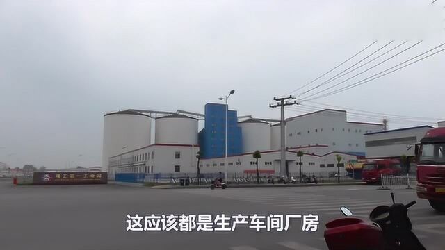 实拍漯河双汇,中国最大的肉类加工基地,火车道直接修到厂里