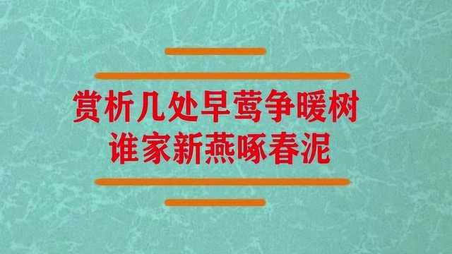 赏析几处早莺争暖树 这首诗?