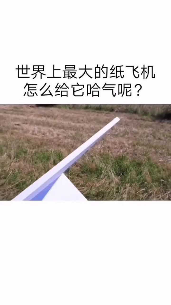 世界上最大的纸飞机