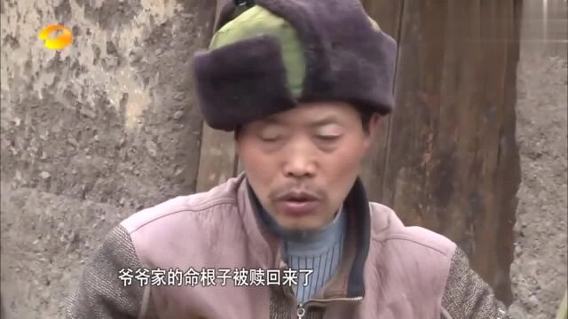 变形计:周云峰回大山帮爷爷把牛赎回,奶奶下跪道谢!