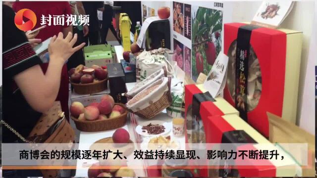 400多家中外企业参展 第七届中国(泸州)西南商品博览会开幕