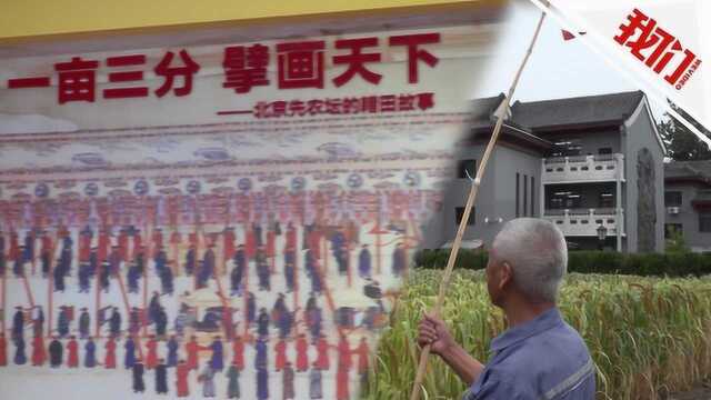 北京先农坛时隔百年再迎丰收 开放首日市民冒雨来观展