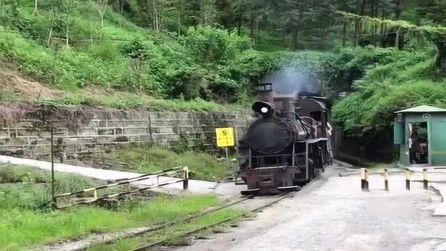 村里通往县城唯一的绿皮小火车,一趟5块钱,还能观赏沿途风景!