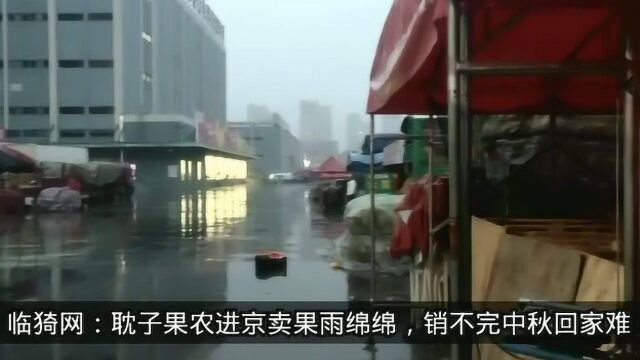 临猗果农在北京新发地卖果子,中秋不回家