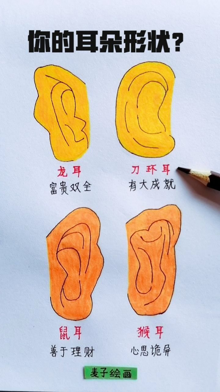 你的耳朵是什么形状