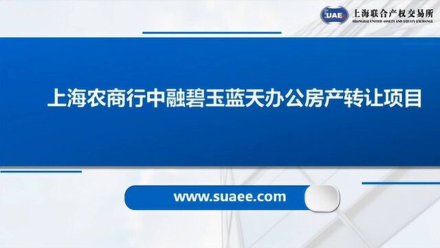 上海农商行中融碧玉蓝天办公房产转让项目