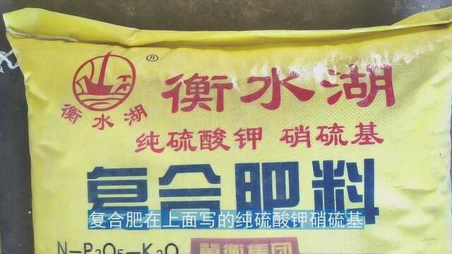 农民选购复合肥时要认清是硫酸钾型还是氯化钾型避免吃亏上当