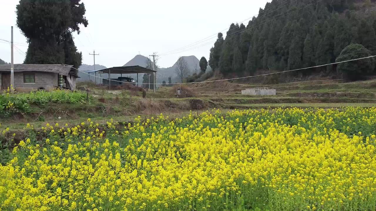 航拍贵州岑巩大有镇木召村