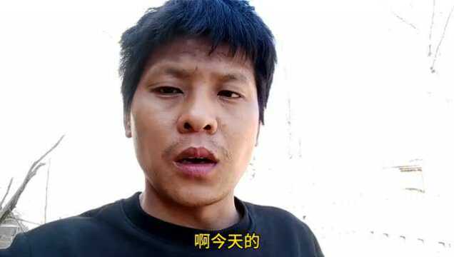 农村正在大规模的建设猪舍