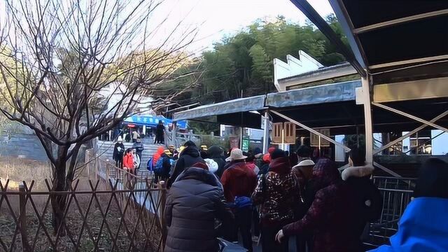 清明假期安徽黄山免费游客爆满,这是去年去黄山的门票价和人流量