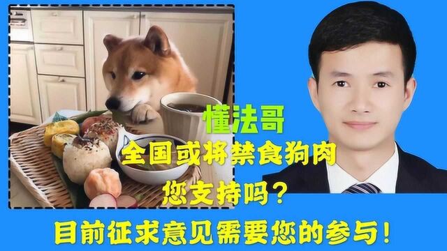 全国或将立法禁止食用狗肉,你支持吗?目前征求意见中,需要大家参与!