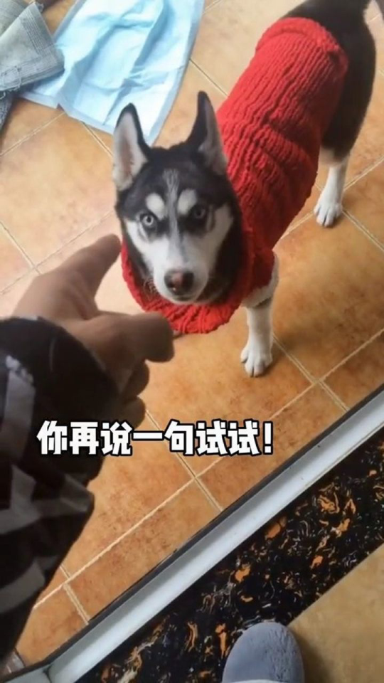 Thumbplayer Poster Plugin Image