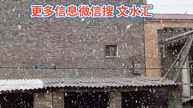 文水:4月份下大雨……今年的梨树完了