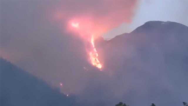 西藏林芝突发山火 森林消防300人正在扑救