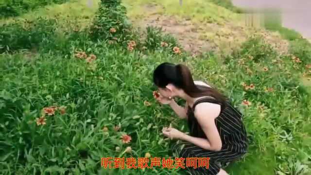 一首清澈的《大花轿》感情真挚,意境优美