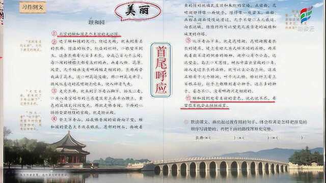 四年级语文(部编版)《习作例文》