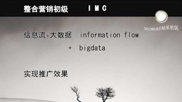 整合营销:借助信息流大数据应用实现推广目标与效果 赵龙授课