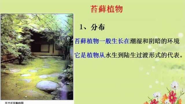 2.北师大版生物八下22.3植物的主要类群(苔藓植物)