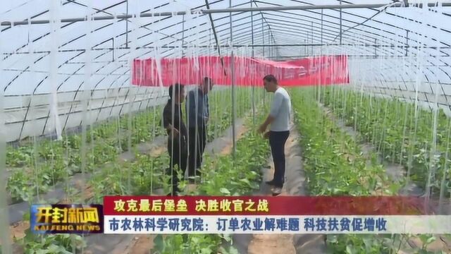 市农林科学研究院:订单农业解难题 科技扶贫促增收