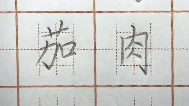 茄肉二字笔画练习,肉字书写要对称,二年级语文生字硬笔书法练字