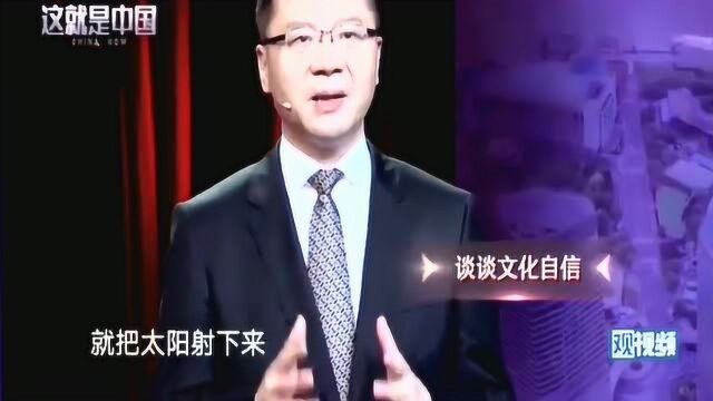 张维为:我们的文化既有百花齐放的多元,也有互相交融的一体