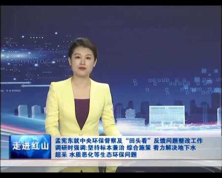 孟宪东就中央环保督察及“回头看”反馈问题整改工作调研