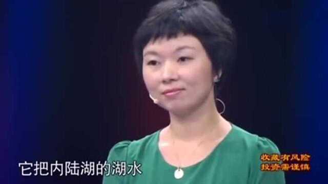 大姐带玛瑙来鉴宝,未想里面竟然有水,形成方式意想不到