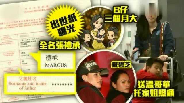 张柏芝三胎儿子姓名曝光,震惊失望:追究到底