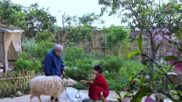 李子柒骑马踏青,取花为食,农家生活!