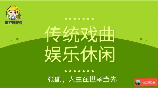 听戏唱戏爱豫剧,张佩,人生在世孝当先