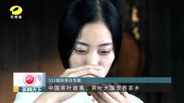 中国茶叶故事:世界茶源茶叶之乡茶闻天下