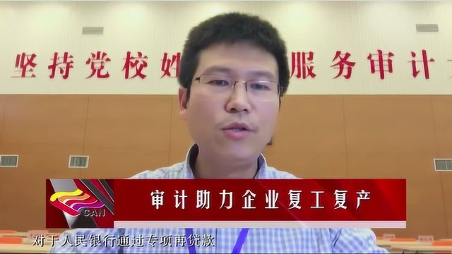 审计署审计科研所李俊:两会审计助力企业复工复产