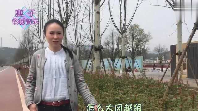 一首好听的《野子》真好听,听的如痴如醉