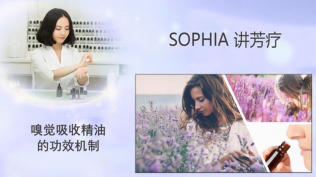 「芳灸儿」导师 SOPHIA讲芳疗6:嗅觉吸收精油的功效和机制