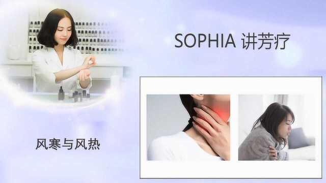 「芳灸儿」导师 SOPHIA讲芳疗26:风寒与风热