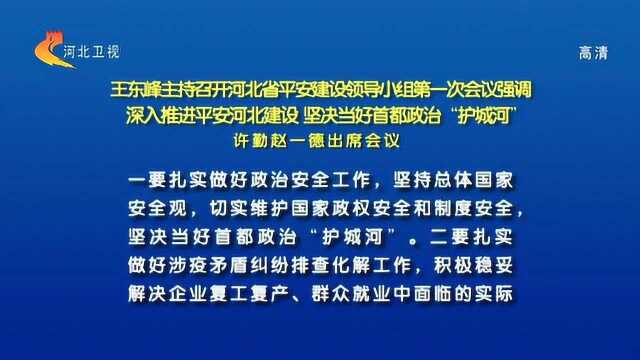 王东峰主持召开河北省平安建设领导小组第一次会议